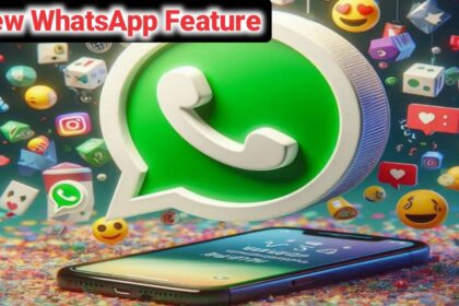 WhatsApp Feature