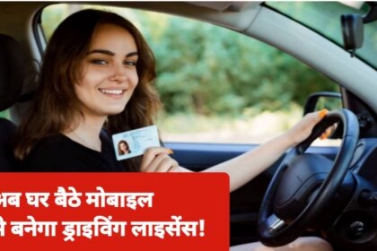 Driving Licence