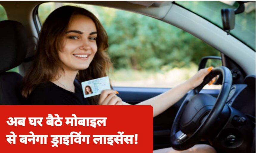 Driving Licence