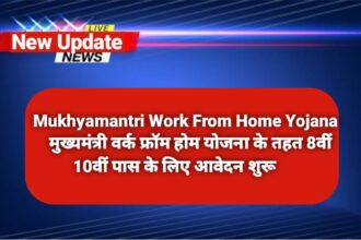 Mukhyamantri Work From Home Yojana