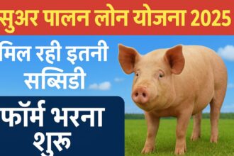 Suar Palan Loan Yojana 2025