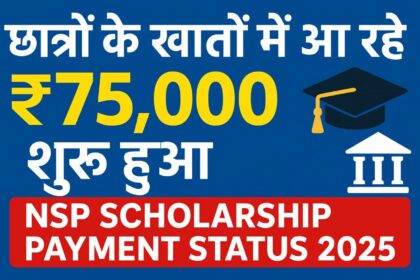 NSP Scholarship Payment Status 2025